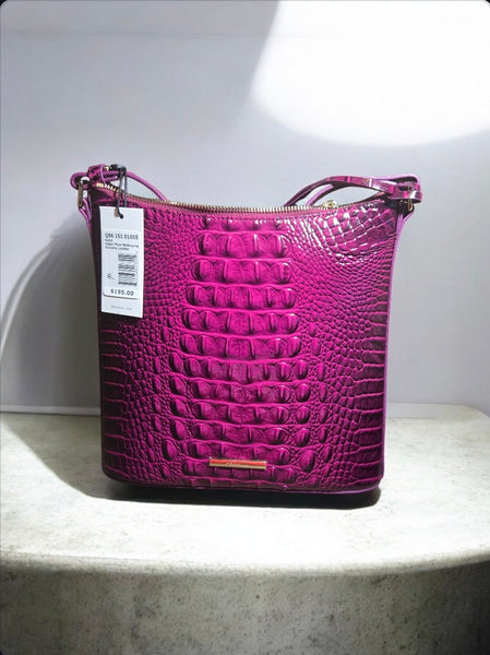 Brahmin Katie (Sugar Plum)