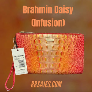 Brahmin Daisy (Infusion)