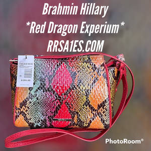 Brahmin Hillary CB (Red Dragon *Experium*)