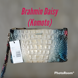 Brahmin Daisy (Komoto)